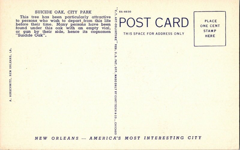 Suicide Oak City Park New Orleans LA Louisianna CT Art Colortone Postcard UNP 