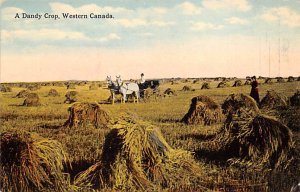 Dandy Crop Western Canada Farming Unused 