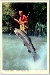 Postcard - What Luck!, Trout Fishing - New Zealand