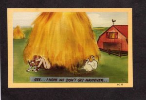 Comic Postcard Haying Lovers in Hay Stack Don't Get Hay Fever Postcard Card