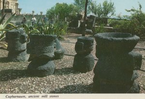 Capharnaum Ancient Olive Press Israel Postcard