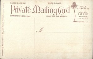Honolulu HI Waterfront Docks c1910 Private Mailing Card Postcard