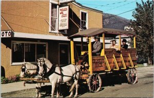 We Rode The Skaguay Hack Skagway Alaska White Ponies Wagon People Postcard H13