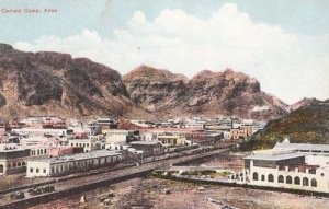 Camels War Camp View Aden Yemen India Military Postcard