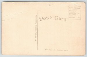 Salt Lake City Utah~Judge Building~Railroad Exchange~Theatre Behind~c1910