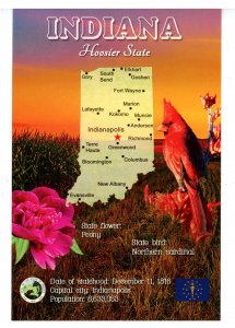 IN - Indiana Map & Highlights   (continental size)