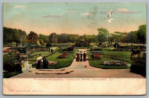 Postcard Chicago Illinois c1905 Flower Gardens Lincoln Park UDB