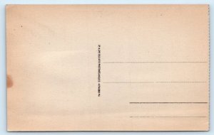 Oran - Boulevard du Lycee - ALGERIA Postcard