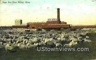 Sugar Beet Plant in Billings, Montana