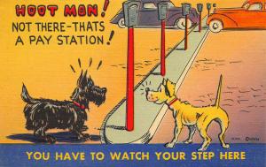 Scottie Dog Hoot Man You Have To Watch Your Step Here Linen Postcard