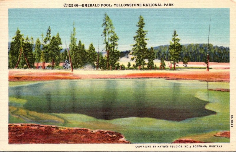 Yellowstone National Park Emerald Pool 1954 Curteich