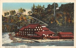 H14/ Hakalau Hawaii Postcard c1910 Sugar Mill Coast Occupational