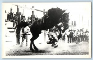 Calgary Canada Postcard RPPC Photo Stampede Rodeo Rosetiss c1930's Vintage