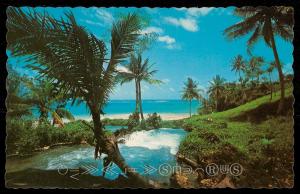 Jamaica, W.I. - Tropical View