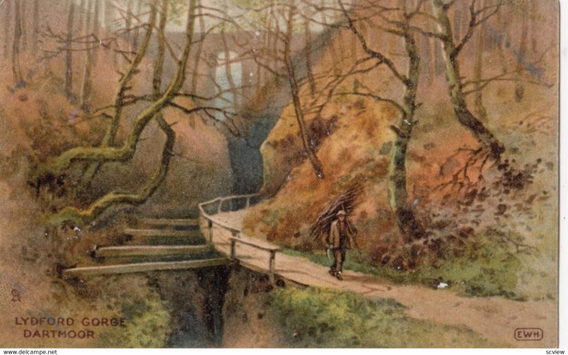 Lydford Gorge, Dartmoor, 1900-10s; TUCK 6072