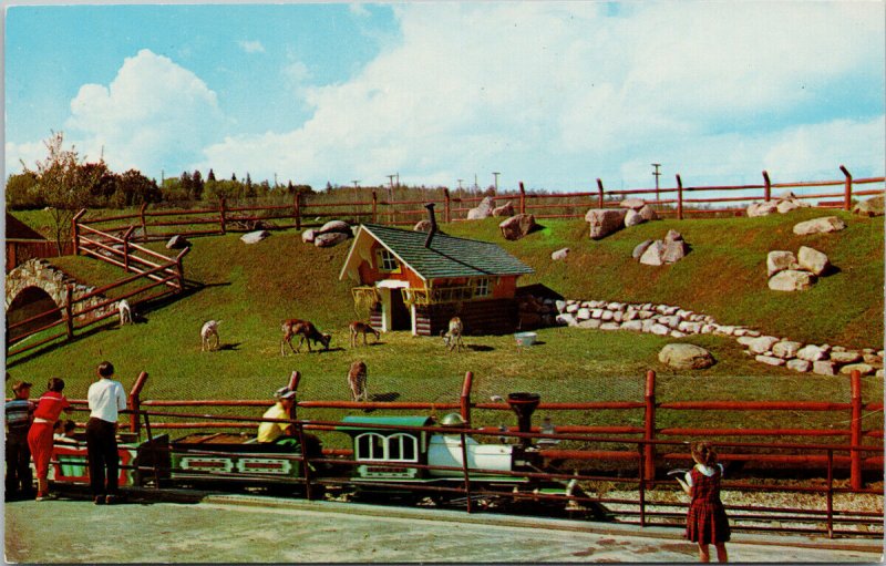 Storyland Valley Edmonton Alberta Goats & Train Children's Zoo Postcard H16