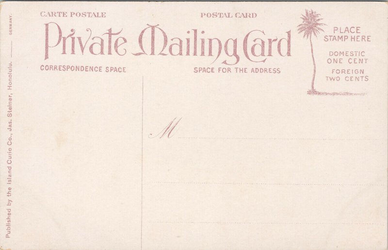 Waterfront Honolulu Hawaii HI Unused Jas Steiner Private Mailing Postcard G34