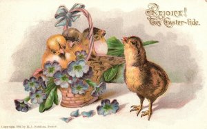 Vintage Postcard 1910's Rejoice This Easter Tide Greetings Little Chicks Basket