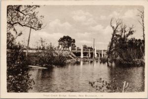 Trout Creek Bridge Sussex New Brunswick NB c1946 Postcard D74