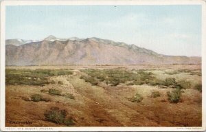 Arizona Desert E.M. Dressler Artist Unused Phostint Fred Harvey Postcard G11