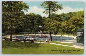 Struthers Ohio~Yellow Creek Park Swimming Pool~Folks Watch From Benches~Linen 