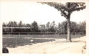 A77/ Wellston Michigan Mi Real Photo RPPC Postcard 1940 Chittendon Nursery