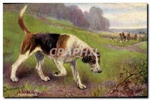 Old Postcard Hunting Foxhound