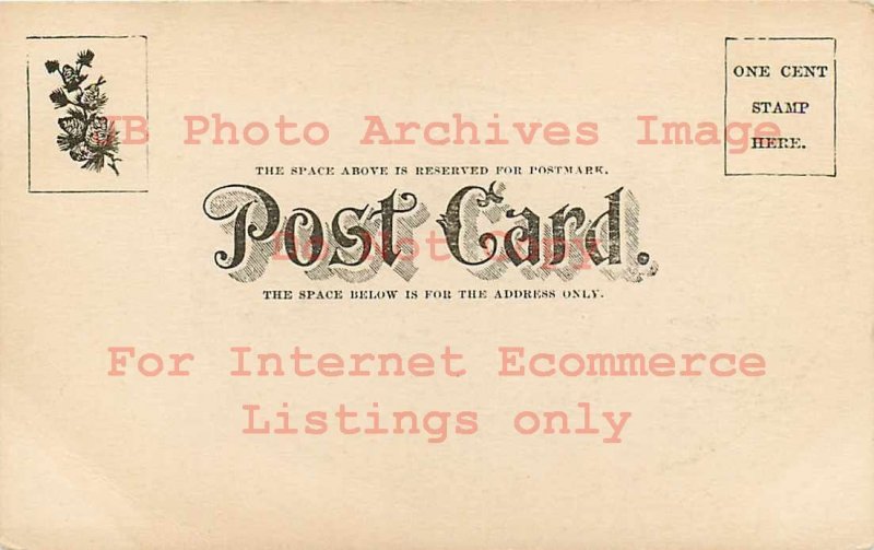 NH, Franklin Falls, New Hampshire, Post Office Building, George H Dow No 13842