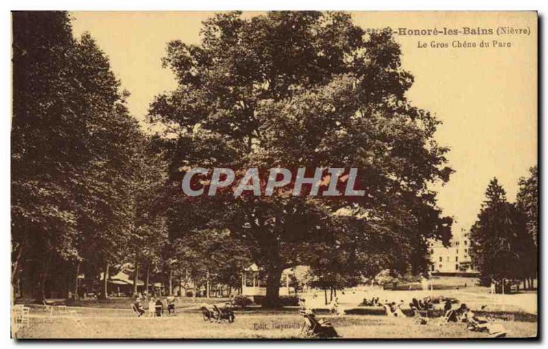 Old Postcard Tree St Honore les Bains The large oak park