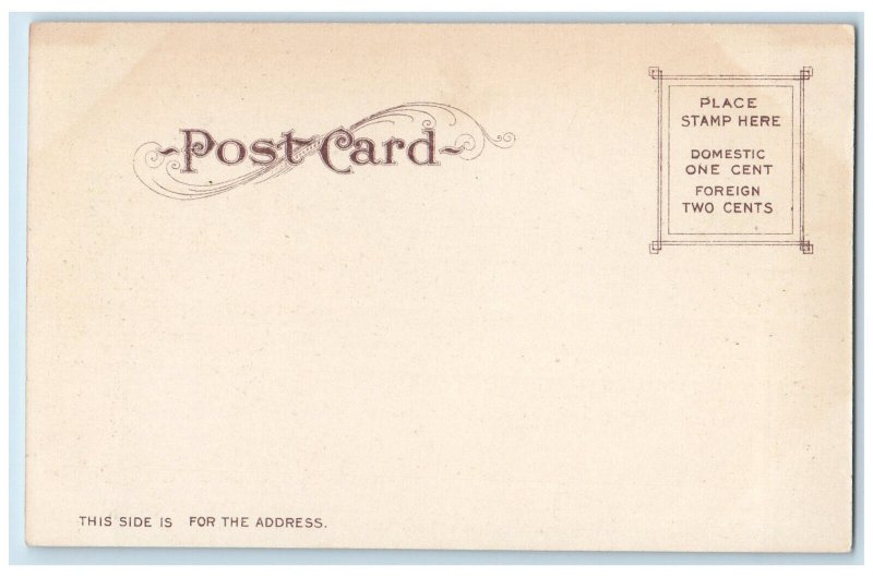 c1905 Tented Street Avalon Catalina Island California CA Antique Postcard