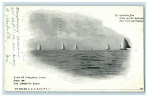 1905 Dominion Line Steamship Hampton Roads New York Virginia Sailboats Postcard 