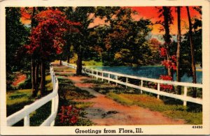 Vtg 1940's Greetings from Flora Scenic View Illinois IL Linen Postcard