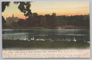 Rotograph~Geese On Lake Scene In Roger Williams Park~Bridge~House~RI~PM 1907 PC
