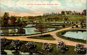 View Overlooking Lily Ponds on Barney Estate Springfield MA Vintage Postcard S44