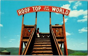 Rooftop of the World Overlook Flagstaff Park Mauch Chunk PA Vintage Postcard O31