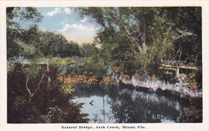 Natural Bridge Arch Creek Miami Florida