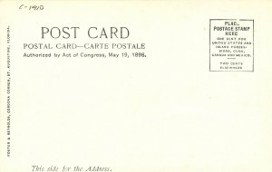 c1910 Daytona Beach Florida Palmetto's Ormond undivided Postcard 25-11847