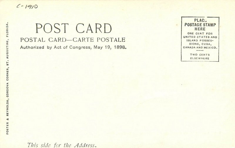 c1910 Daytona Beach Florida Palmetto's Ormond undivided Postcard 25-11847