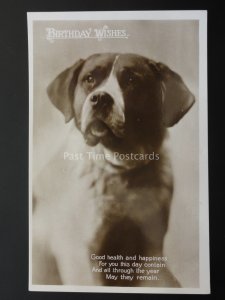 Birthday Greeting showing DOG - GOOD HEALTH & HAPPINESS - Old RP Postcards