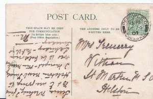 Genealogy Postcard - Ancestor History - Trenerry - St Martin - Helston  BH5738