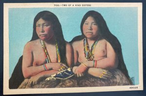 Mint Usa Picture Postcard Native American Indian Two Of A Kind Sisters