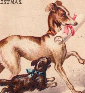 1880s Victorian Christmas Trade Card Adorable Dogs & Scroll F107