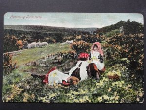 Children on Heath land CATHERING PRIMROSE Old Postcard by Valentine's
