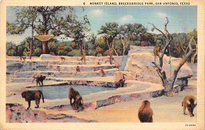 Monkey Island - San Antonio, Texas TX  