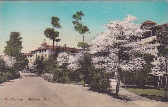 North Carolina Pinehurst The Carolina Albertype