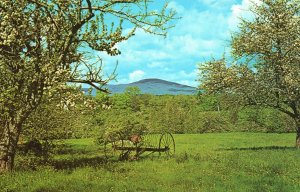 Postcard The Spring Scenic Mountain View in the New England Forward's Color Pub.