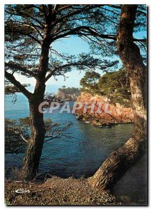 Modern Postcard Corsica Ile de Beaute Paradise Summer Region Piana