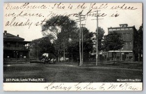 Postcard Street Scene, Mc Louth's Drug Store at 267 Park, Little Valley N.Y