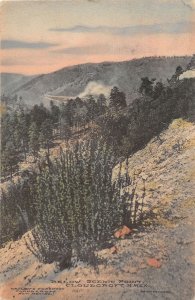 J30/ Cloudcroft New Mexico Postcard c1910 Below Scenic Point  277