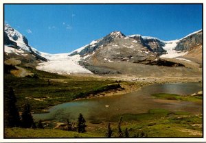 Canada Jasper National Park The Columbia Icefield
